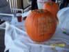 100_4191.jpg (40kb)