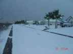 DSC00447.jpg (36kb)