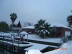 DSC00455.jpg (60kb)
