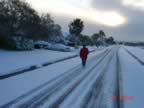 DSC00465.jpg (66kb)
