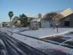 DSC00475.jpg (78kb)