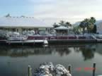 DSC00477.jpg (66kb)